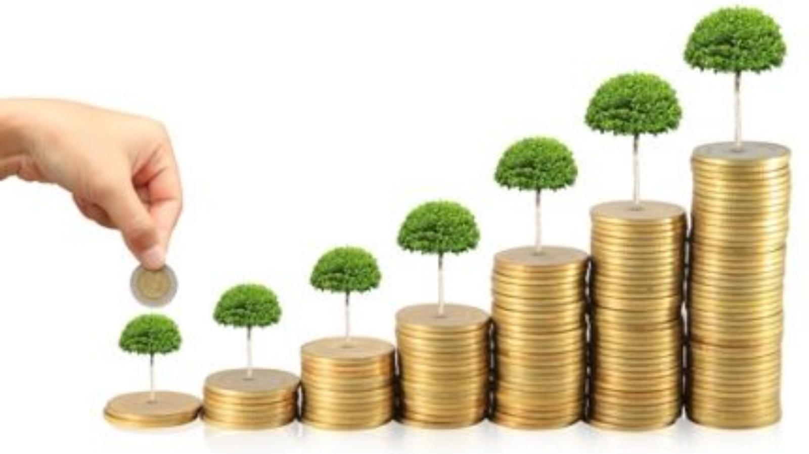 Insurance Consulting